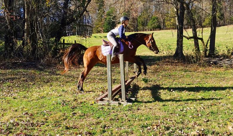A person riding a horse

Description automatically generated with medium confidence