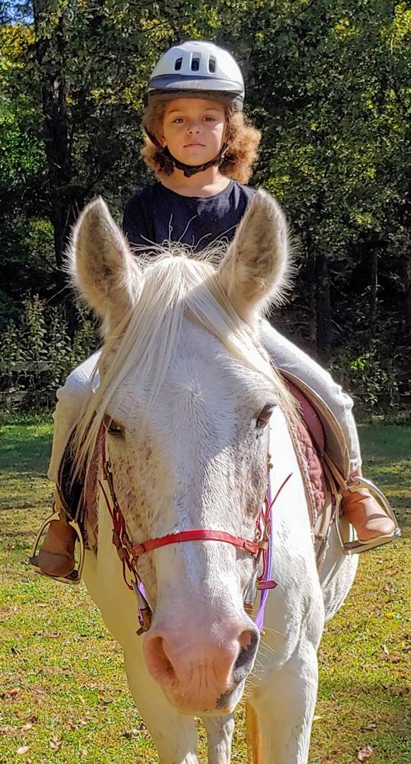 A child riding a horse

Description automatically generated with medium confidence