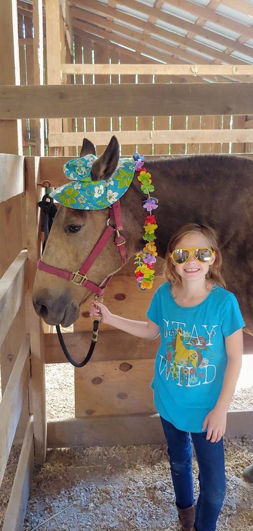 A child standing next to a horse

Description automatically generated with medium confidence