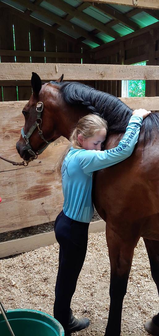 A person holding a horse

Description automatically generated with medium confidence