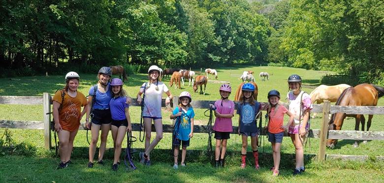 A group of people standing in front of a group of cows

Description automatically generated with medium confidence