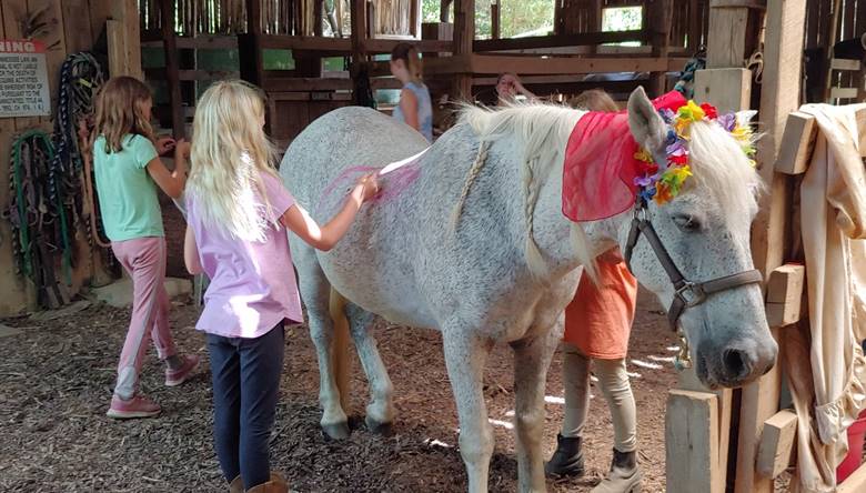 A group of people standing next to a horse

Description automatically generated with low confidence