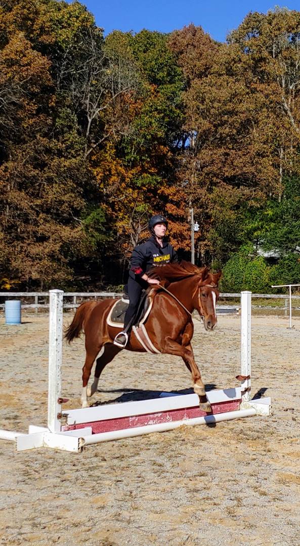 A person riding a horse

Description automatically generated with low confidence