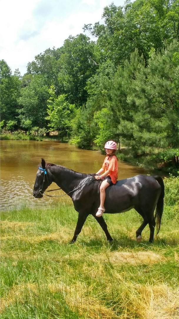 A child riding a horse

Description automatically generated with low confidence