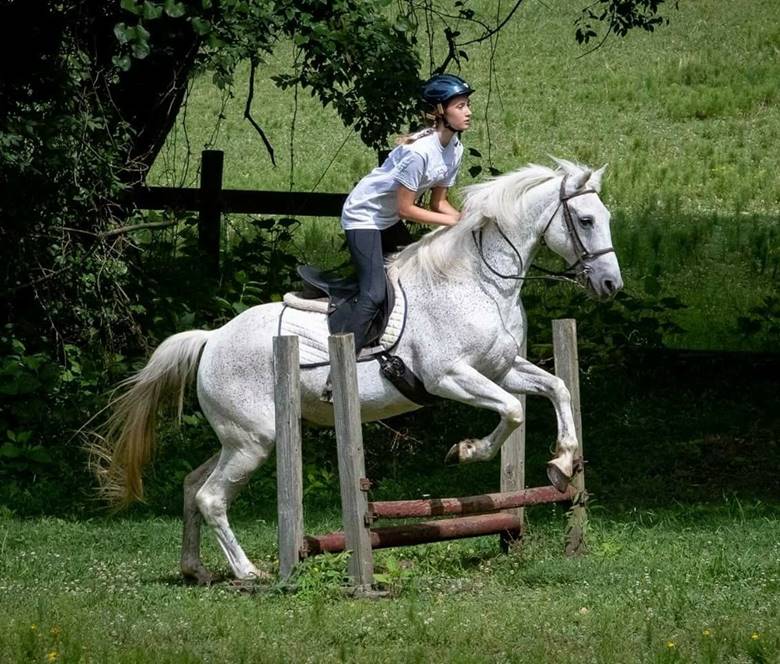 A person riding a horse

Description automatically generated with medium confidence