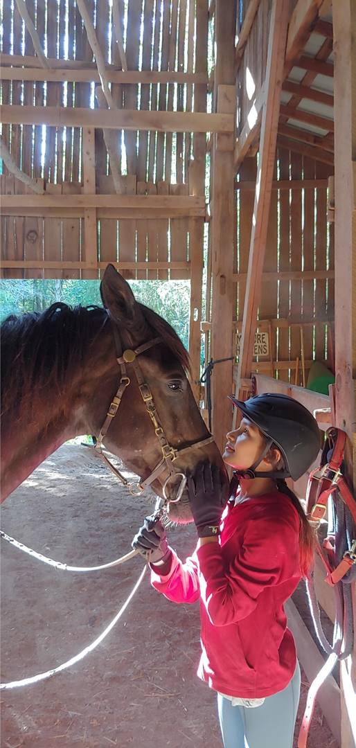A child feeding a horse

Description automatically generated with low confidence
