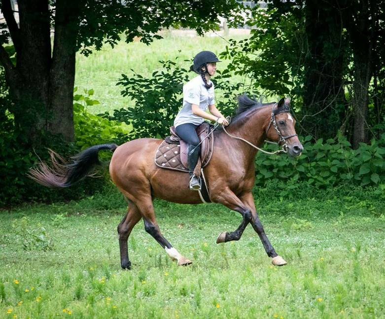A person riding a horse

Description automatically generated