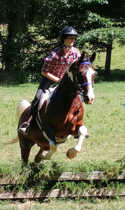 A person riding a horse

Description automatically generated with medium confidence