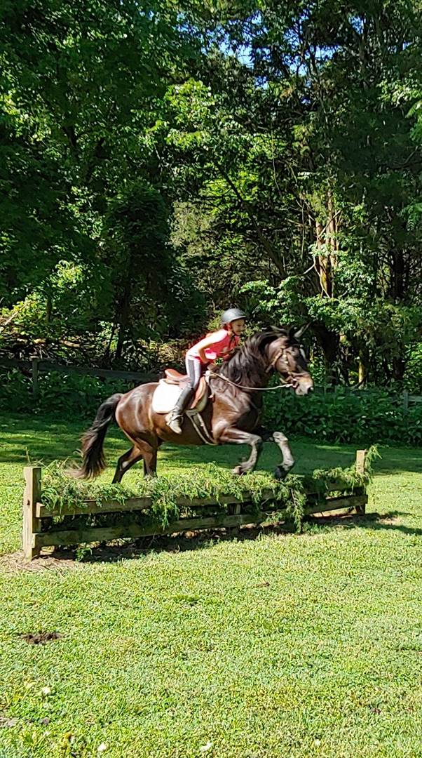 A person riding a horse

Description automatically generated with medium confidence